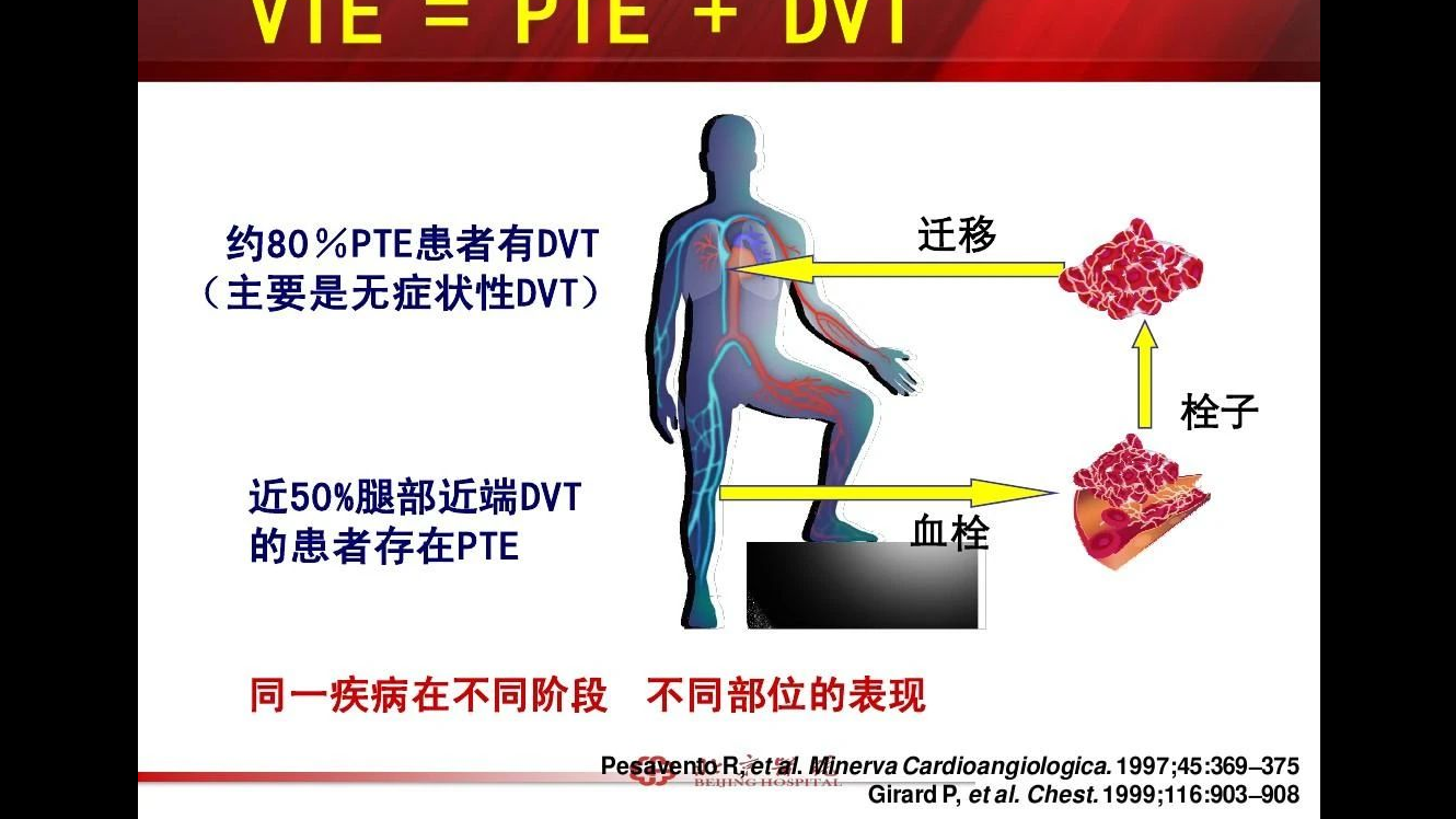 盤點那些為VTE代言的名人