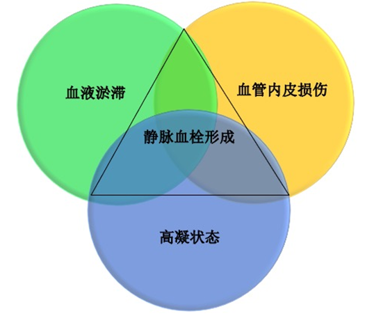 沉默殺手 VTE，如何進(jìn)行抗凝治療？三問搞懂