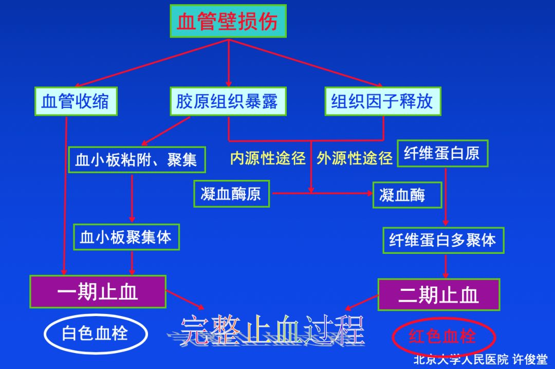 血栓形成，三個(gè)要素細(xì)分說(shuō)