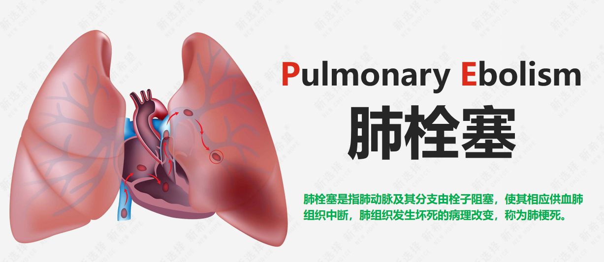 詩和遠方 讓健康與靈魂共享