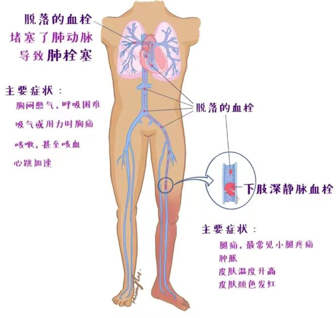 詩和遠方 讓健康與靈魂共享